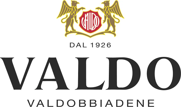 logo-Valdo-4-colori600