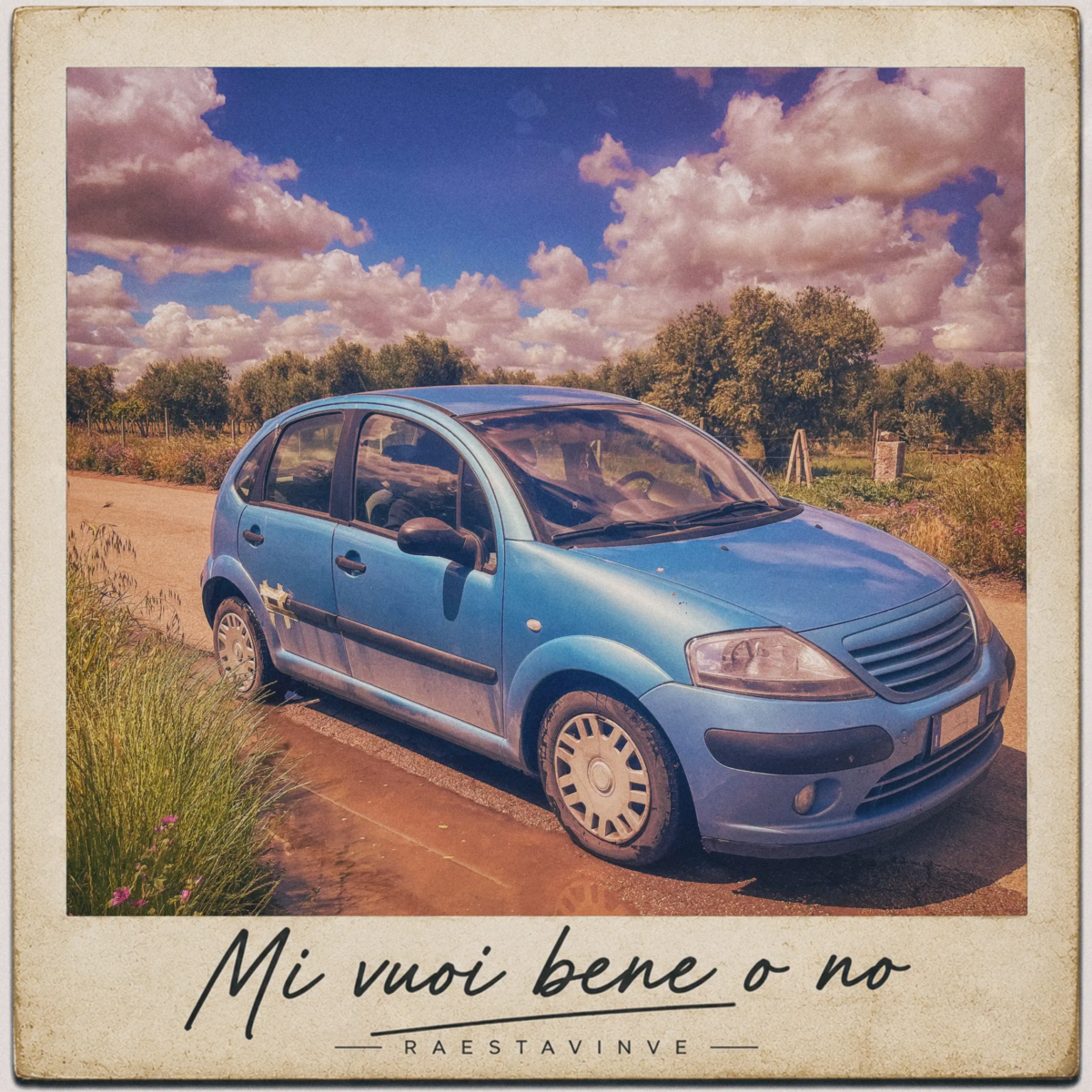 Copertina copia